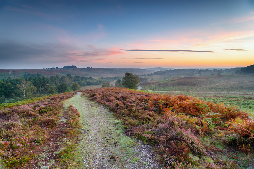 Romantic Valentine's Day Ideas | Sunset over the New Forest National Park in Hampshire