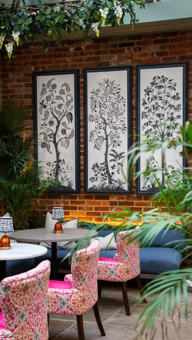 The Orangery… the perfect place to catch up, slow down and linger over coffee or cocktails 🌿
