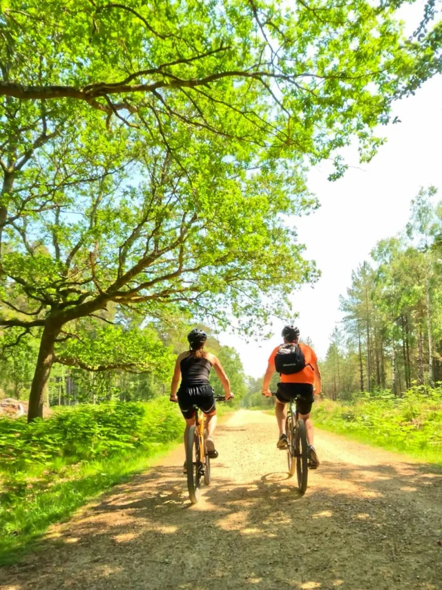 This is your sign to discover the New Forest on two wheels... 🚲 🌿

We’ve partnered with @new_forest_cycling_tours to bring our guests exclusive guided rides through coastal paths, ancient woodland and charming villages, right from our doorstep. 

From pigs roaming during pannage season to spotting seabirds along the coast, there are so many wildlife-rich trails waiting to be explored. 

#NewForest #NationalWildlifeDay