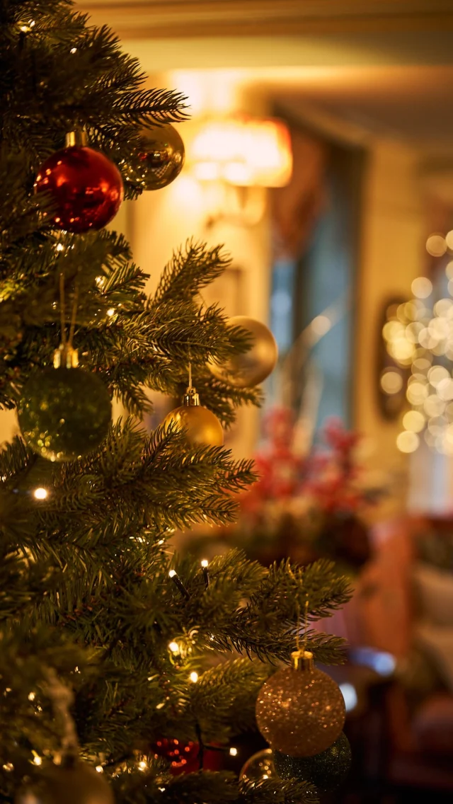 It may only be September, but we can already feel the magic of Christmas on its way 🎄

Think indulgent festive feasts, enchanting events and cosy getaways…