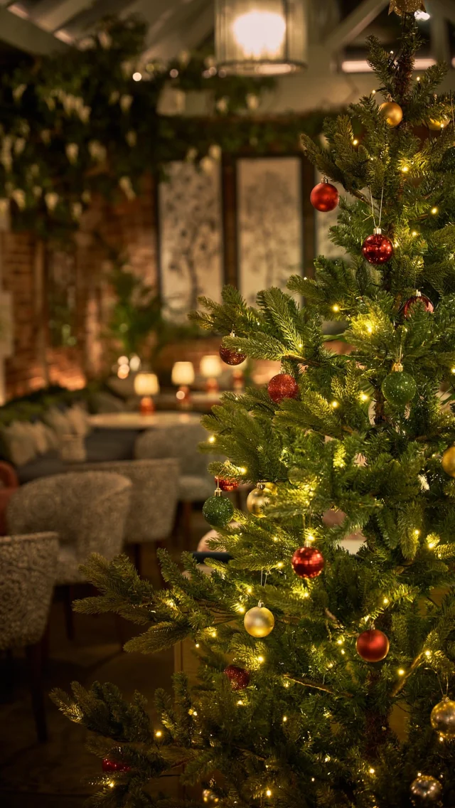 Step inside our festive haven...