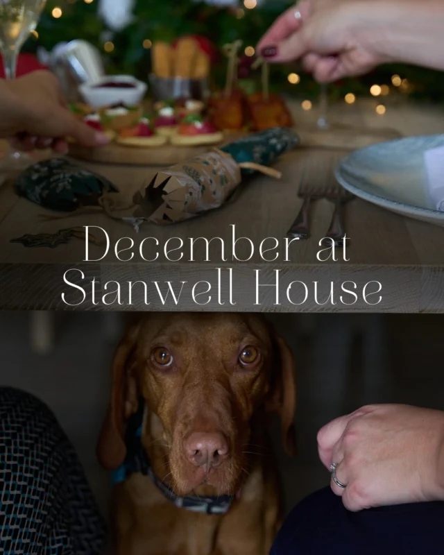 The festivities have officially arrived at Stanwell House 🎄✨

Join us this December for creative workshops, live music, and a feast of seasonal culinary delights.