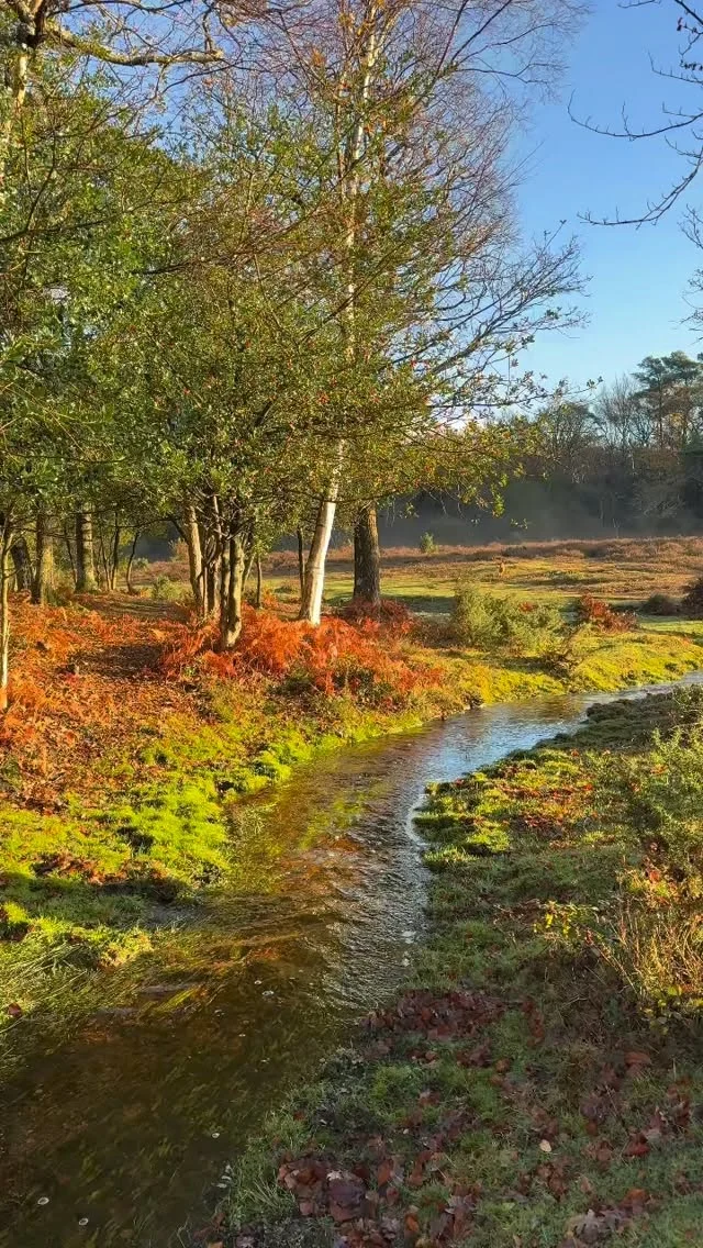 Stretch your legs, sip something warm, and savour the last of the festivities.