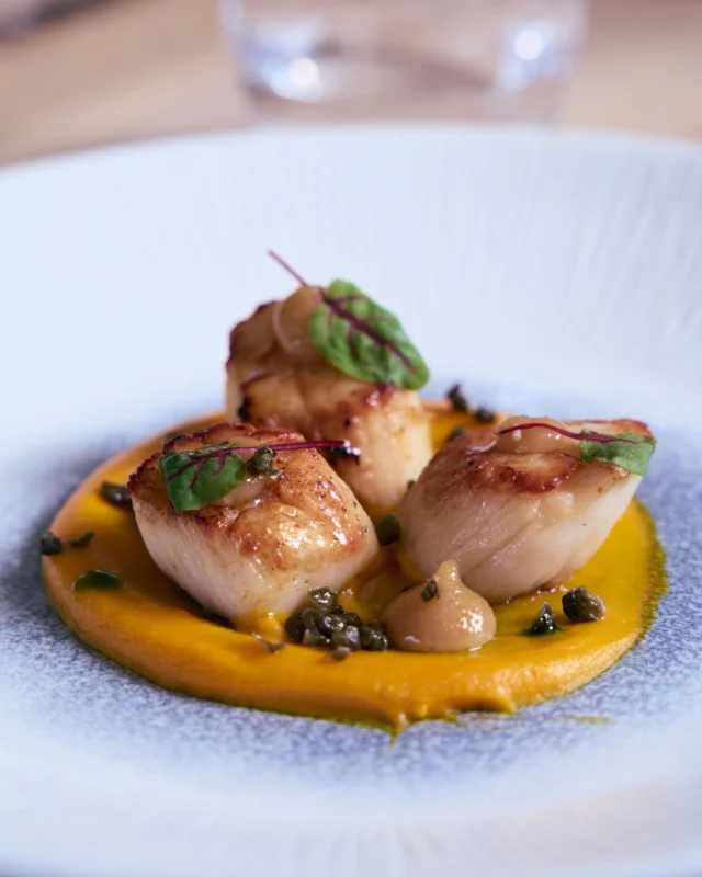 Join us for our upcoming Wine Dinner: An Evening in the Rhône 🍷

In collaboration with The Solent Cellar, we’re hosting an exclusive Rhône wine dinner, led by Rhône Valley ambassador and Master Sommelier, Nigel Wilkinson.

The evening begins with canapés on arrival, followed by a four-course dinner, each dish expertly paired with a different Rhône wine. 

Set in our elegant Private Dining Room, this intimate dinner promises a relaxed yet refined evening of exceptional food, conversation and outstanding Rhône wines. 

Contact reception to secure your space: 01590 677123 | enquiries@stanwellhouse.com

£80 person | Friday 30th January | arrival time 7pm | The Private Dining Room, Stanwell House