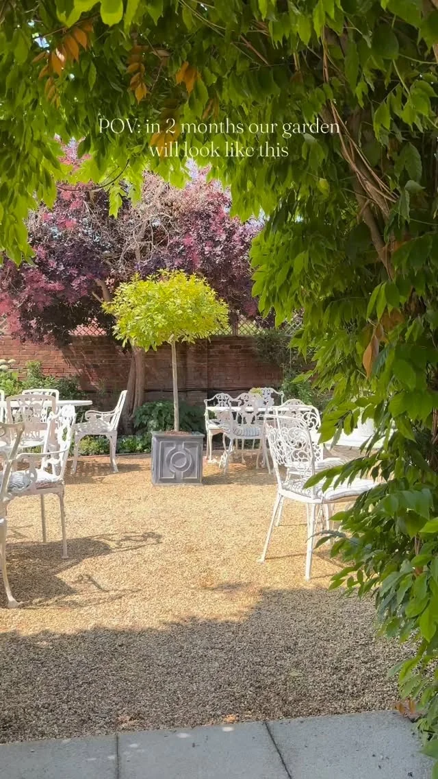 Impatiently waiting for Spring to arrive…