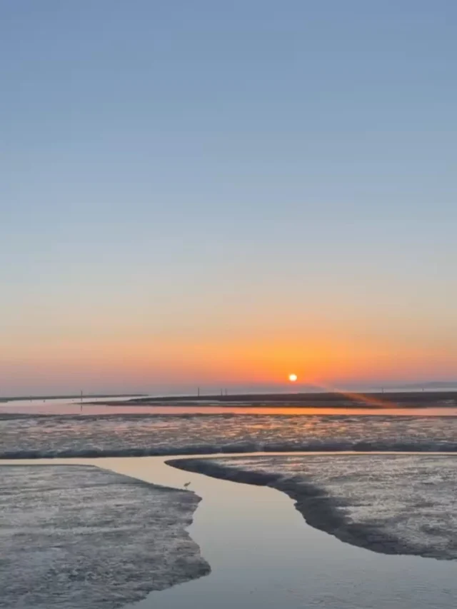 The mornings are getting lighter, the first blooms are quietly appearing… your signs that spring is near.