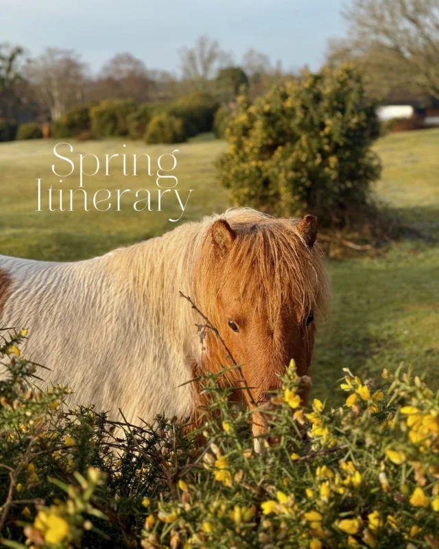 Your spring itinerary... explore, connect and enjoy at your own pace.