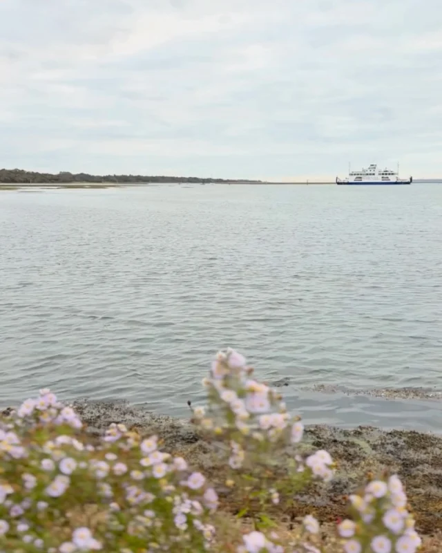 The Harbour is just a short wander away.