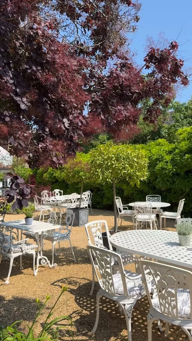 It’s all so quiet… but not for long 🪻

Something special is coming and we know you’ll want to be part of it. Keep an eye on our socials... all will be revealed on Monday 27th April.