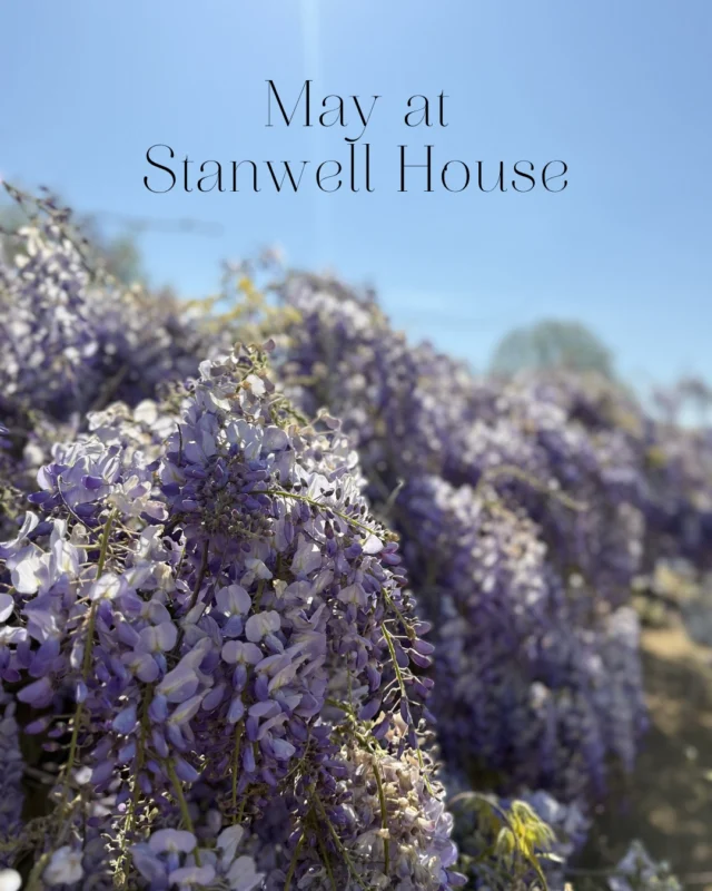 We have something extra special planned this month… 

Along with our creative workshops and seasonal favourites, we have our Garden Launch Party, celebrating the official opening of our garden. 

We can’t wait to celebrate the season with you.
