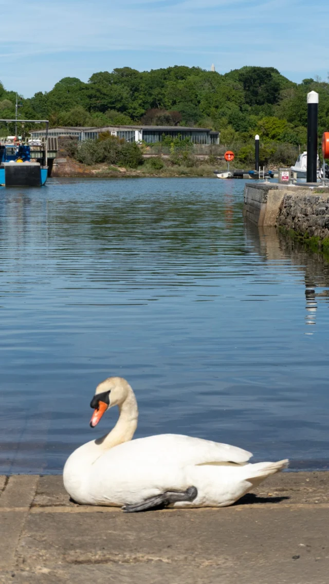 A quiet moment on Lymington Quay...