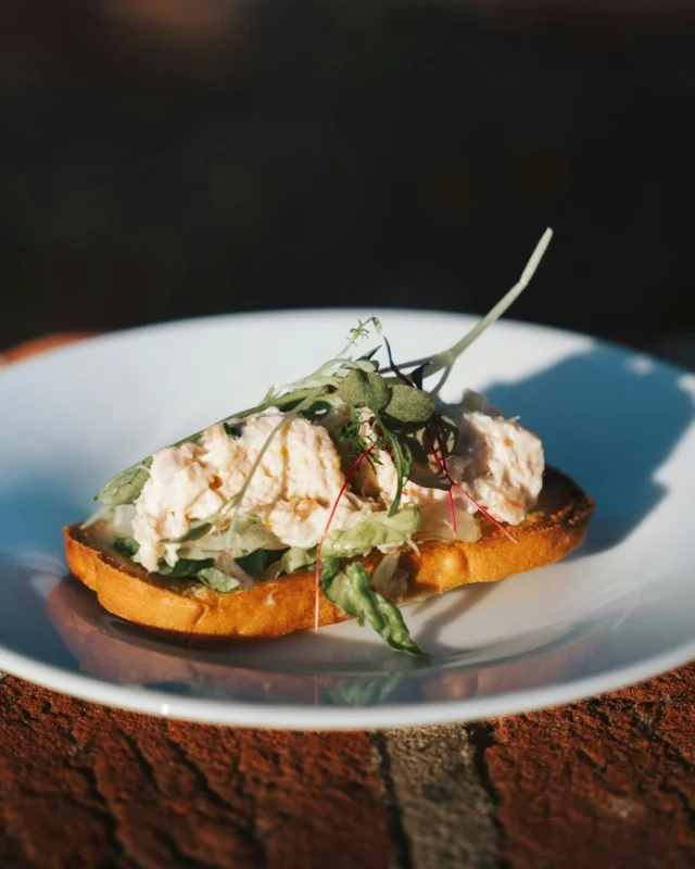 Our little oasis is waiting…

Escape to our walled garden for seasonal dishes, refreshing drinks, and relaxed outdoor dining in the heart of Lymington.