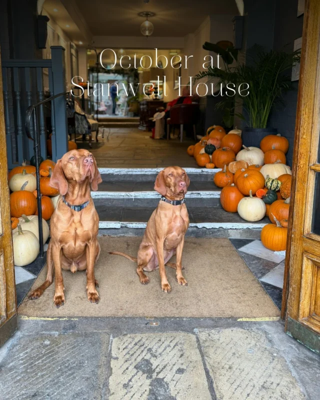 Hello, October…

Autumn looks rather lovely from here.