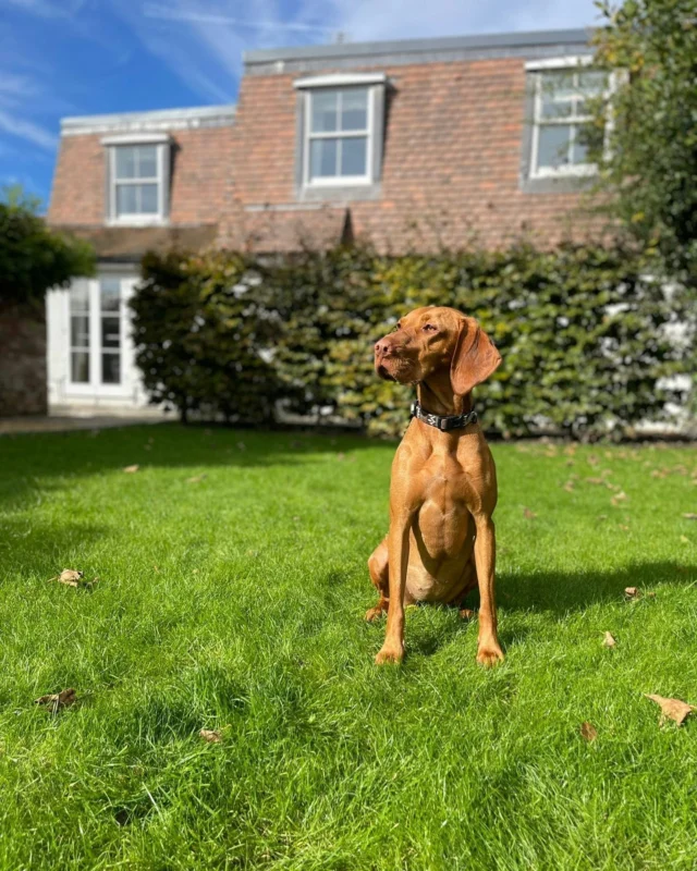 Autumn adventures with your favourite companion.

From winding New Forest trails to a wander along Lymington’s seafront, there’s plenty to explore together.

... And a cosy room will be waiting for your return.
